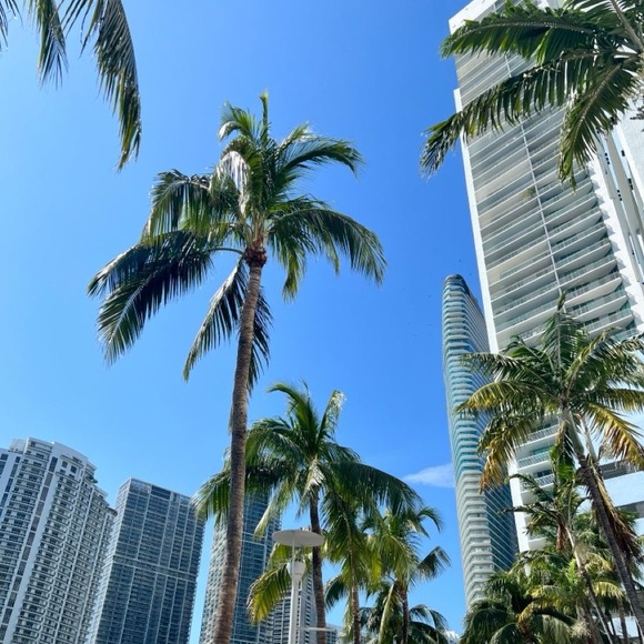 miamiclosetbyk